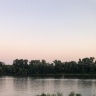 ​Товарищ Т